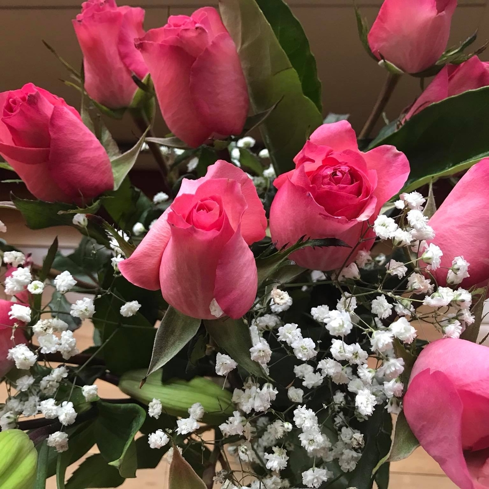 Meet your Posher, Mary